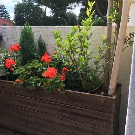 Studio Plage Royan 鲁瓦扬